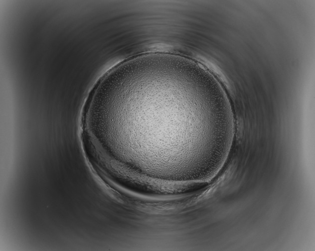 X0000093411042200710121113