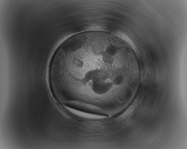 X0000093411043200710121113