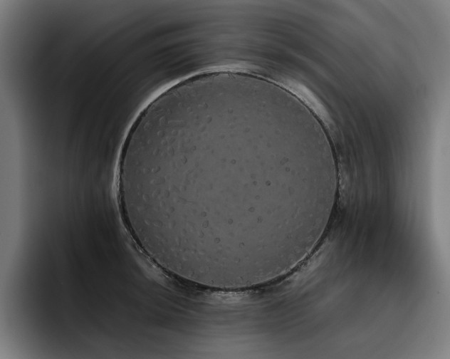 X0000093411044200710121113
