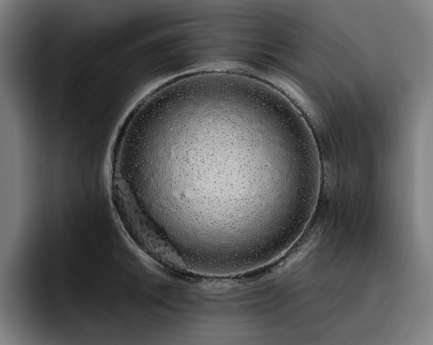 X0000093411046200710121113