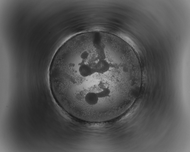 X0000093411047200710121113