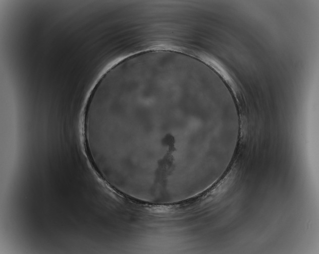 X0000093411048200710121113