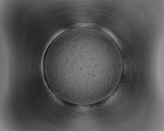 X0000093411050200710121113