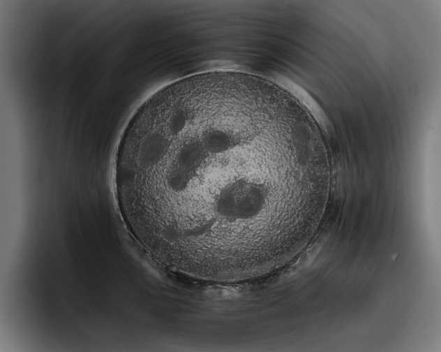 X0000093411051200710121113