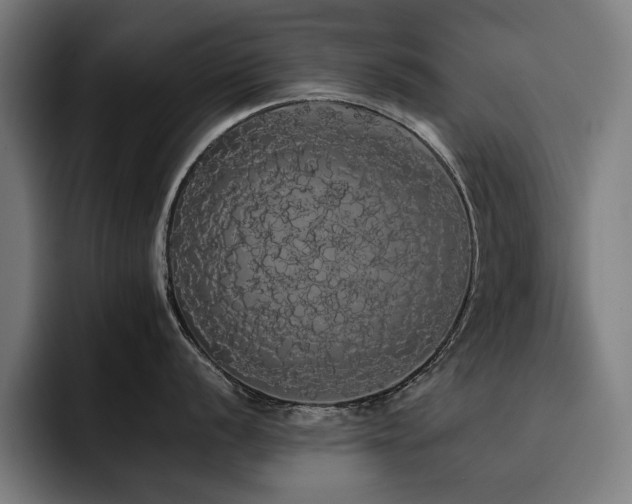 X0000093411056200710121113