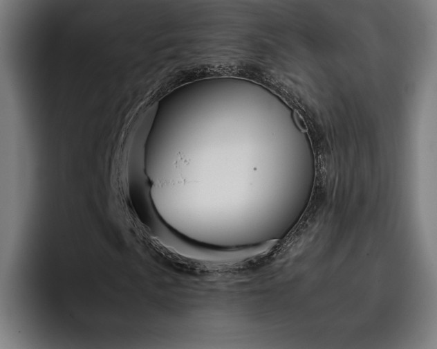 X0000093411057200710121113