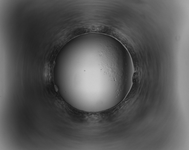 X0000093411058200710121113