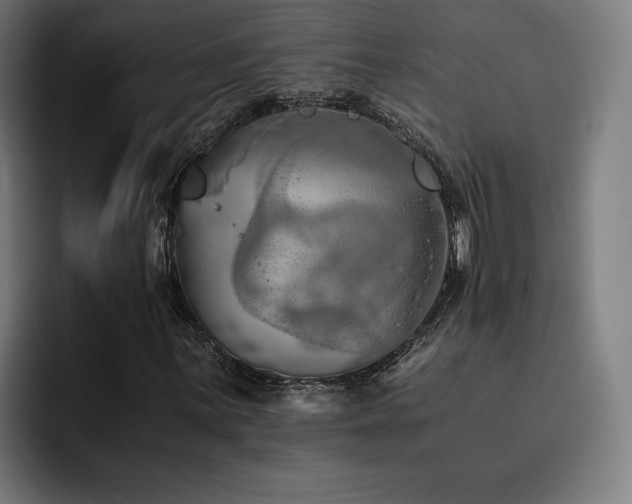 X0000093411059200710121113