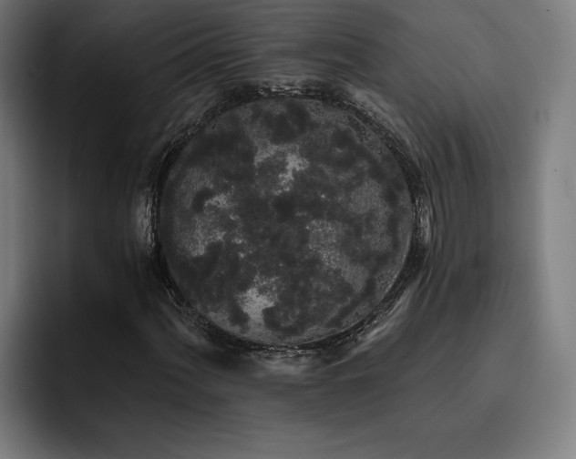 X0000093411060200710121113