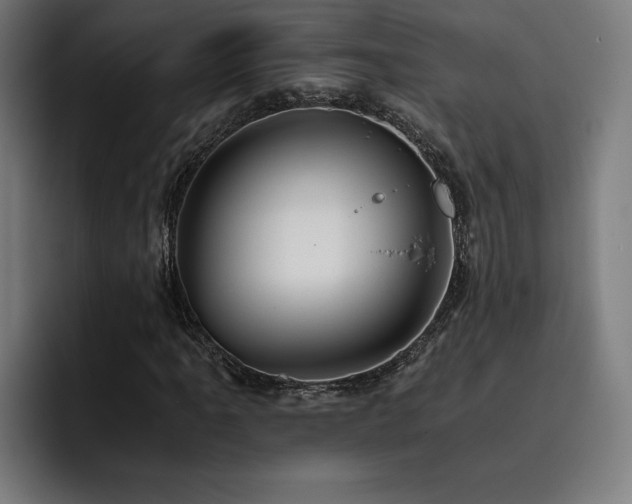 X0000093411061200710121113