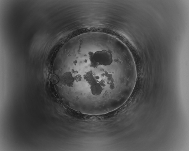 X0000093411063200710121113
