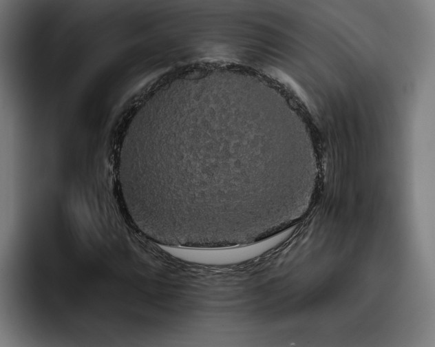 X0000093411064200710121113