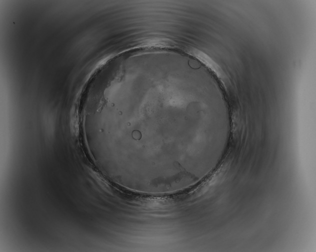 X0000093411067200710121113