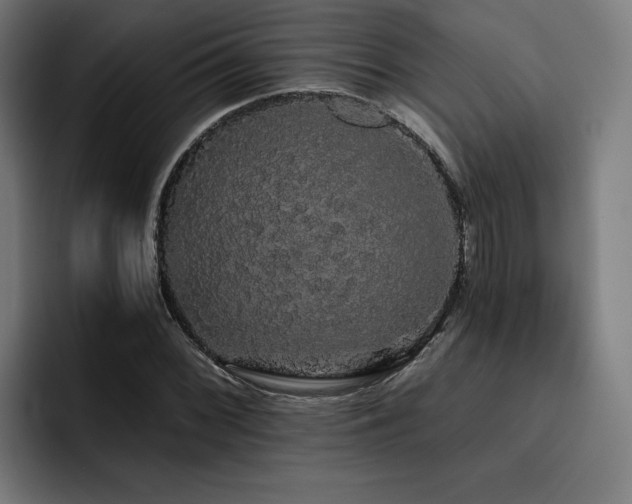 X0000093411068200710121113