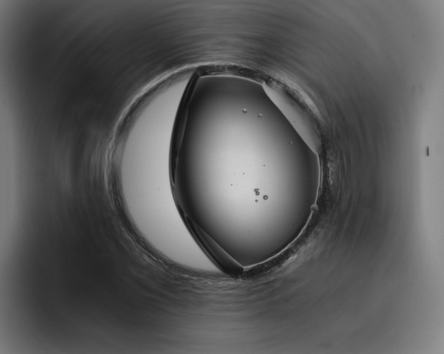 X0000093411069200710121113