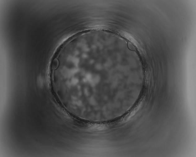 X0000093411071200710121113