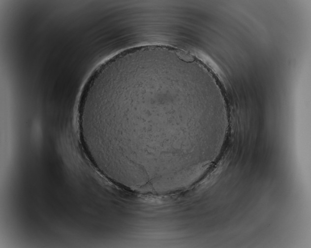 X0000093411072200710121113