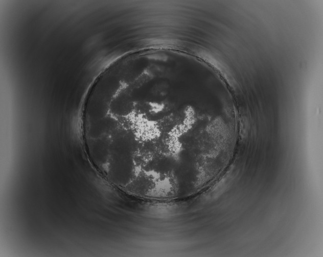 X0000093411074200710121113