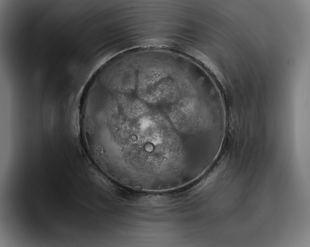 X0000093411075200710121113