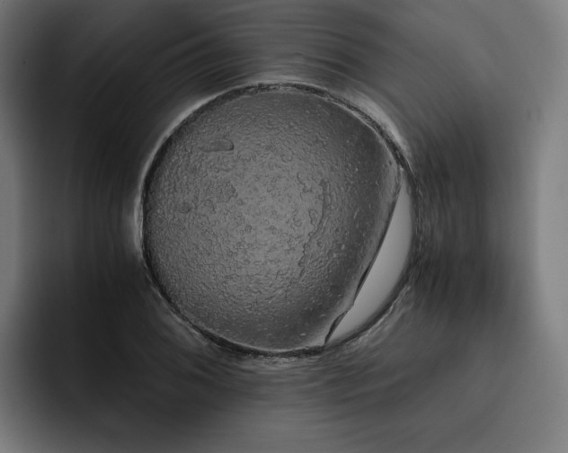 X0000093411076200710121113