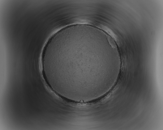 X0000093411080200710121113