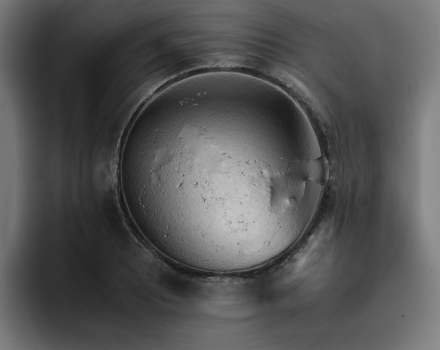 X0000093411081200710121113