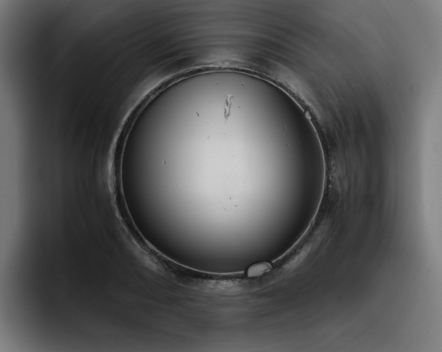 X0000093411082200710121113