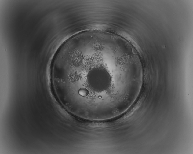 X0000093411083200710121113