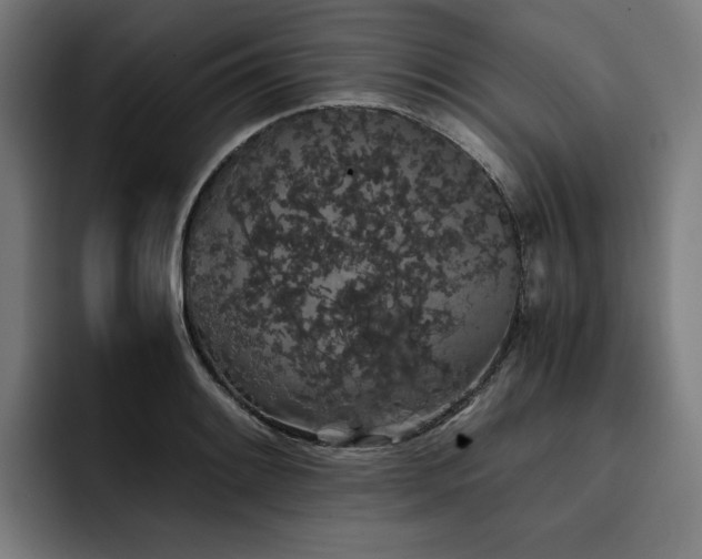 X0000093411084200710121113