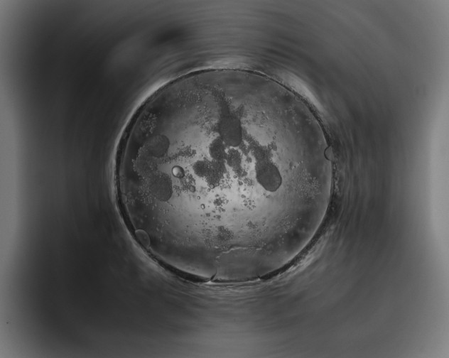 X0000093411087200710121113