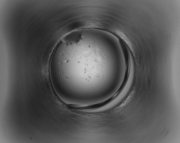 X0000093411089200710121113