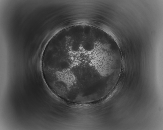X0000093411090200710121112