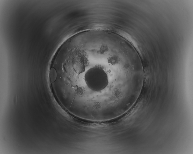 X0000093411091200710121112