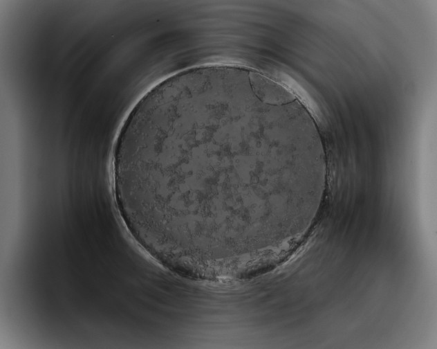 X0000093411092200710121112