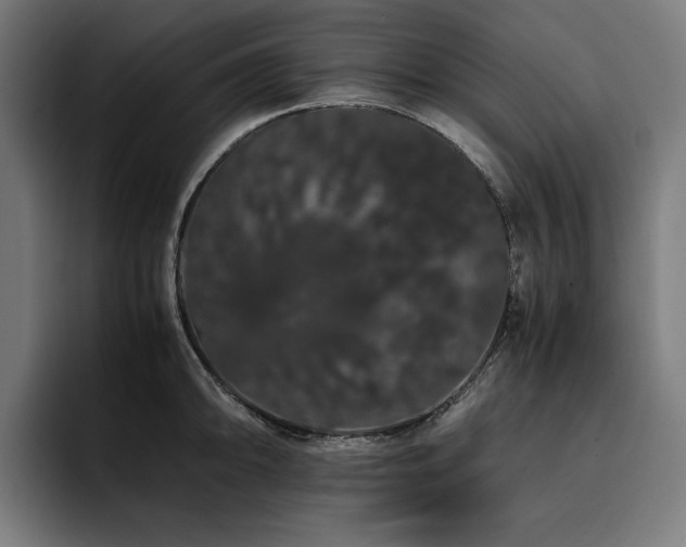X0000093411094200710121112