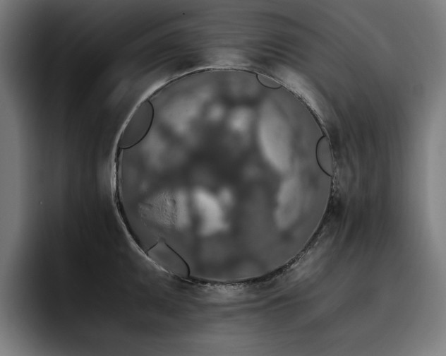 X0000093411095200710121112