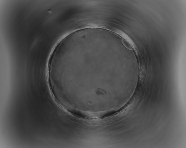 X0000093411096200710121112