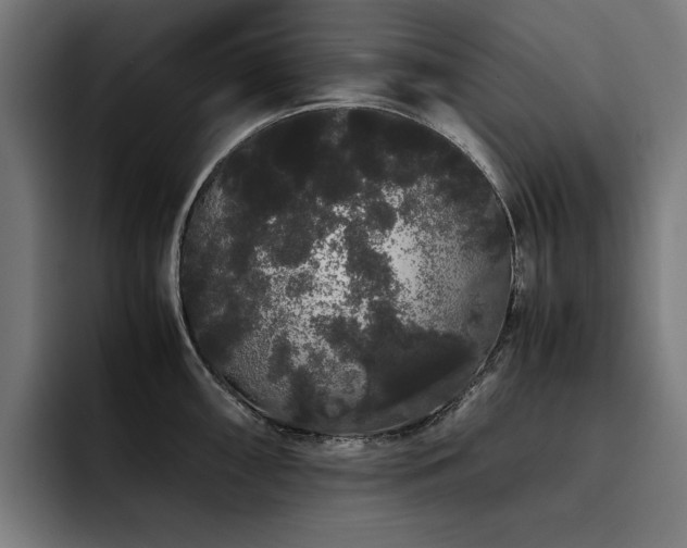 X0000093411098200710121112