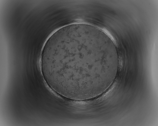 X0000093411100200710121112