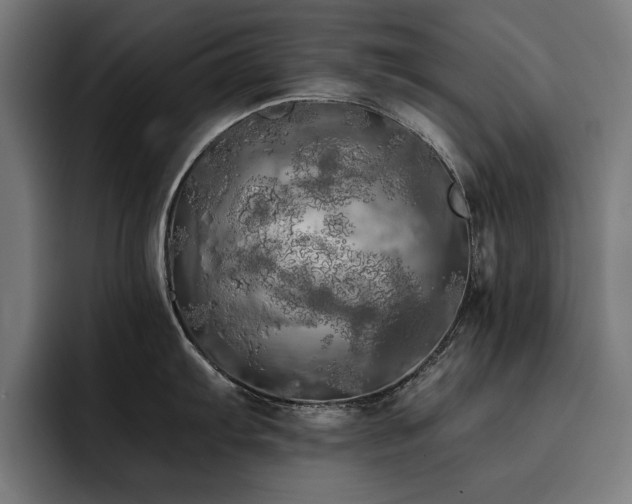 X0000093411103200710121112