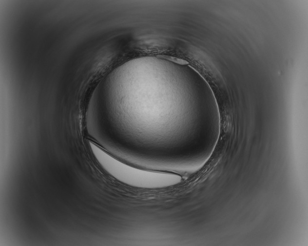 X0000093411108200710121112