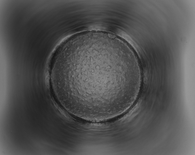 X0000093411115200710121112