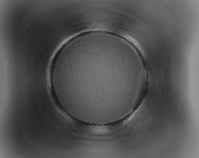 X0000093411120200710121112
