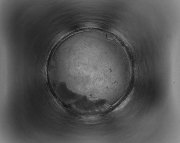 X0000093411121200710121112
