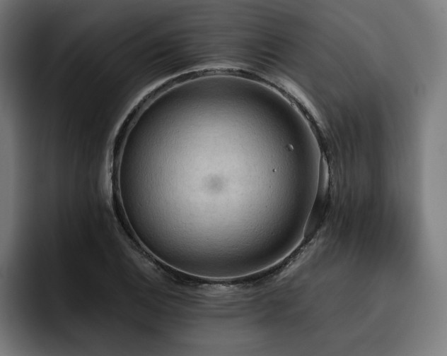 X0000093411124200710121112