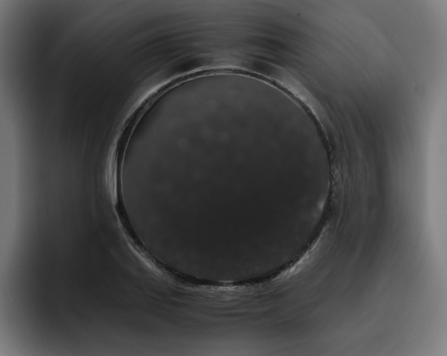 X0000093411127200710121112