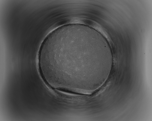 X0000093411133200710121112