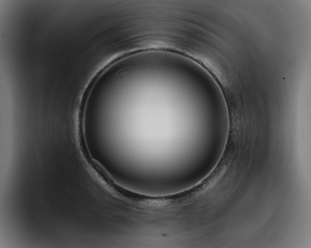 X0000093411134200710121112