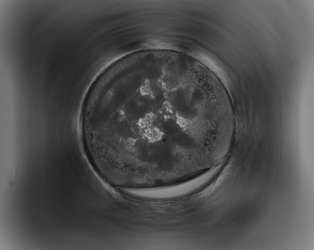 X0000093411141200710121112