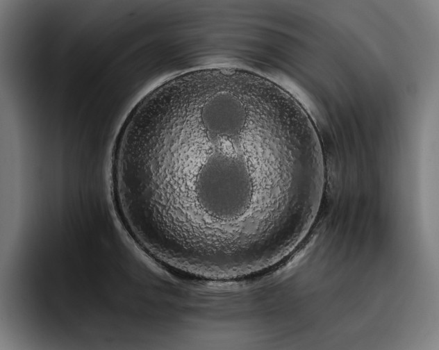 X0000093411142200710121112